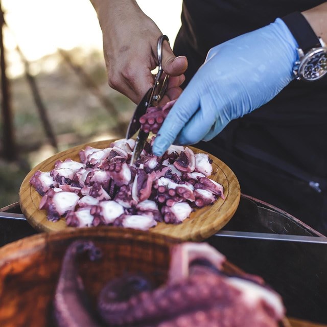 Descubre el resto de productos que tenemos para ti